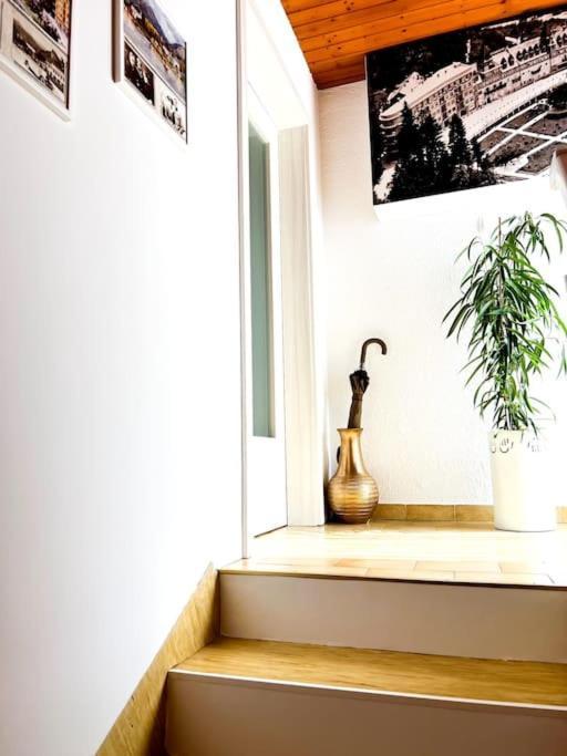 Apartma Kenda Блед Экстерьер фото